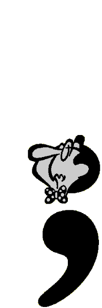 A semicolon is used to